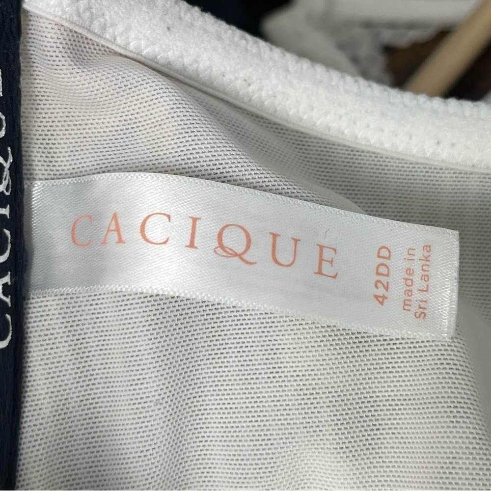 Cacique Black & White Palm Print T-Shirt Bra - Picture 4 of 5